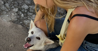 léa pet sitter à PARIS 15 75015_2