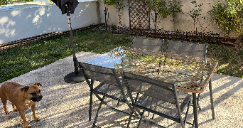 laurelenne pet sitter à ST ANDRE DE SANGONIS 34725_3