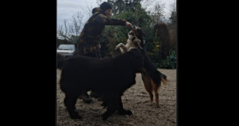 eva pet sitter à TREBEURDEN 22560_11