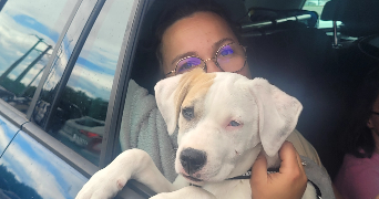 emeline pet sitter à BASSILLAC ET AUBEROCHE 24330_1