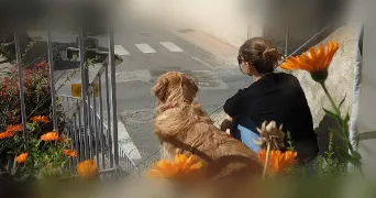 coline pet sitter à VILLENEUVE LES BEZIERS 34420