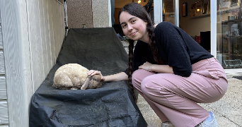 Romane pet sitter à FRANCONVILLE 95130_4