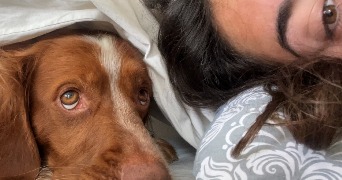 eva pet sitter à ST AUBIN LES ELBEUF 76410_2