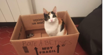 maëva pet sitter à CAHORS 46000_2