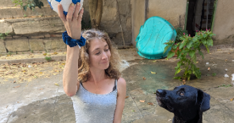 guerreiro viseu pet sitter à NIMES 30000_10
