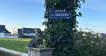 nolwenn pet sitter à VANNES 56000_4