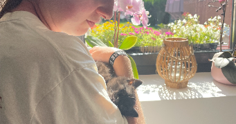 justine pet sitter à BRUAY SUR L ESCAUT 59860_1