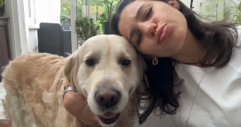 nina pet sitter à MARQUETTE LEZ LILLE 59520_0