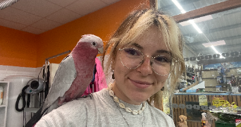 pauline pet sitter à BRETIGNOLLES SUR MER 85470_2