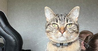 emilie pet sitter à Echenoz la Meline 70000_1