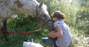zoé pet sitter à LE HAVRE 76600_4