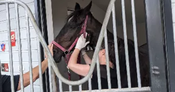 laurie pet sitter à ST MARTIN DE SEIGNANX 40390
