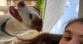 zoé pet sitter à LES SABLES D OLONNE 85340_1