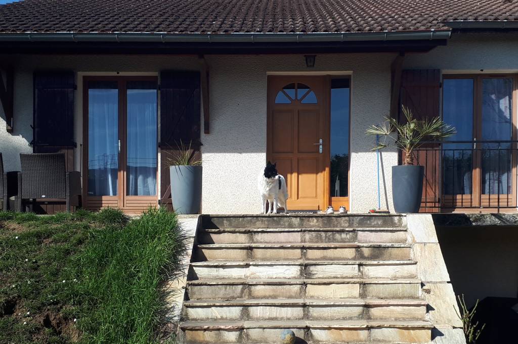 Marine pet sitter à Brignais 69530_6