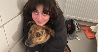 dune pet sitter à LILLE 59000_1