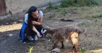 estelle pet sitter à VERO 20172