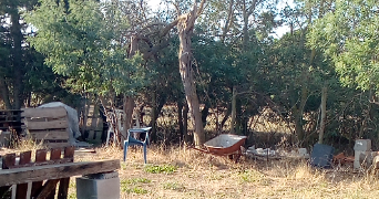 michele pet sitter à SERIGNAN 34410_4