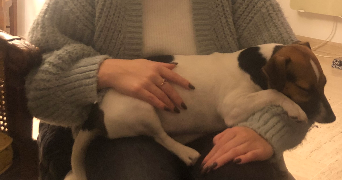 apolline pet sitter à SURESNES 92150_2