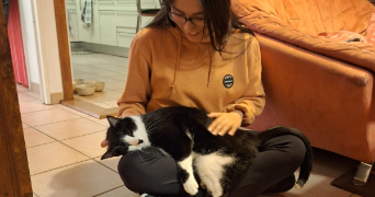ana pet sitter à COLOMIERS 31770_2