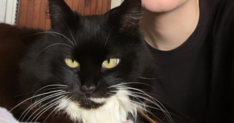 emily pet sitter à Thionville 57100_0