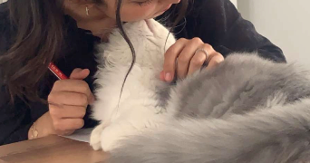 hind pet sitter à CRUVIERS LASCOURS 30360_2