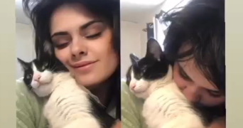 rachel pet sitter à MONTPELLIER 34000_0