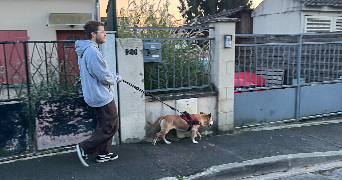 jean-baptiste pet sitter à BESSANCOURT 95550_2
