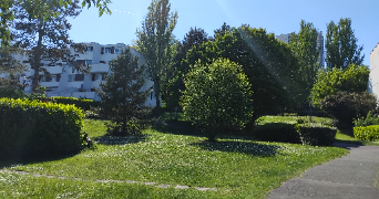 rachel pet sitter à FONTENAY SOUS BOIS 94120_2