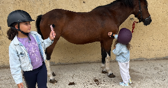 haifa pet sitter à ST RESTITUT 26130_0