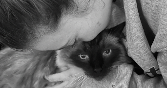 charlotte cat sitter à STRASBOURG 67000_3