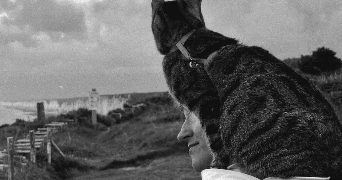 caroline pet sitter à HOUILLES 78800_2