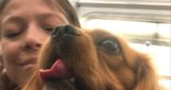 Pauline pet sitter à PARIS 20 75020_3