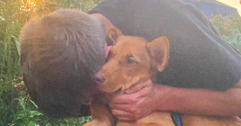 lucas pet sitter à PARIS 13 75013_7