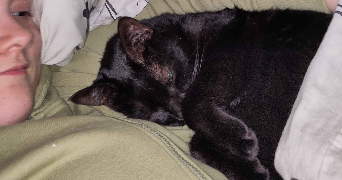 justine pet sitter à IFS 14123_5