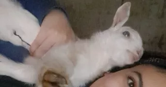 katia pet sitter à CHOISY LE ROI 94600