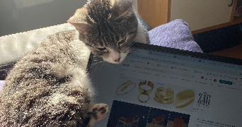 salomé pet sitter à MARSEILLE 01 13001_2