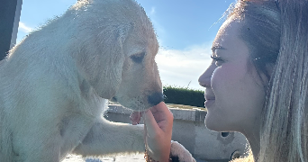 anaëlle pet sitter à CLERMONT FERRAND 63100_0