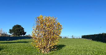 stéphanie pet sitter à PORDIC 22590_3