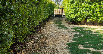 manon pet sitter à Saint-Julien-Les-Rosiers 30340_1