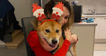 ornella pet sitter à STRASBOURG 67000_1