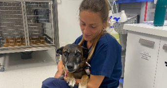 solène pet sitter à ST JORIOZ 74410_1