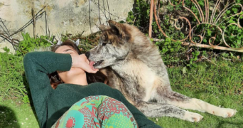 julia pet sitter à BERNES SUR OISE 95340_4