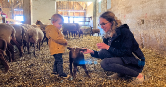 julie pet sitter à ST JEAN DE BOURNAY 38440_1