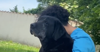 guilhem pet sitter à LYON 03 69003_2
