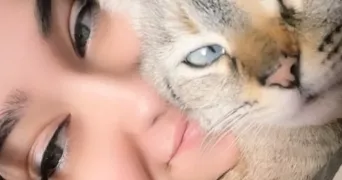 laura pet sitter à NANTES 44000