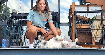 justine pet sitter à NICE 06000_5