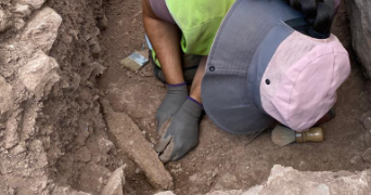 chloé pet sitter à SAULX LES CHARTREUX 91160_2