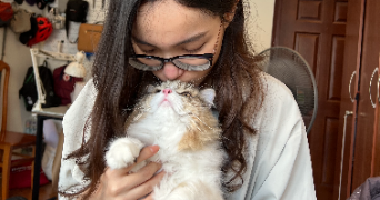 hoai pet sitter à TOULON 83000_0