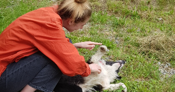 fleur pet sitter à LYON 01 69001_3