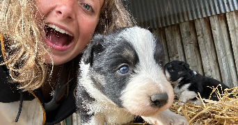 elodie pet sitter à VAISON LA ROMAINE 84110_4